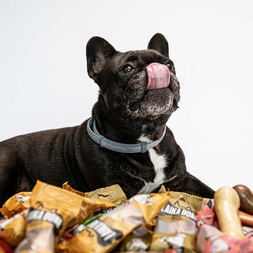 Dog Treats Cheese & Chicken chews( BOX )