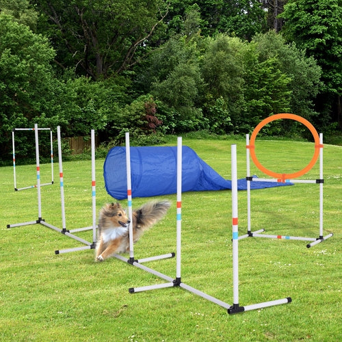 PawHut Outdoor Dog Pet Agility Training Equipment Backyard Starter